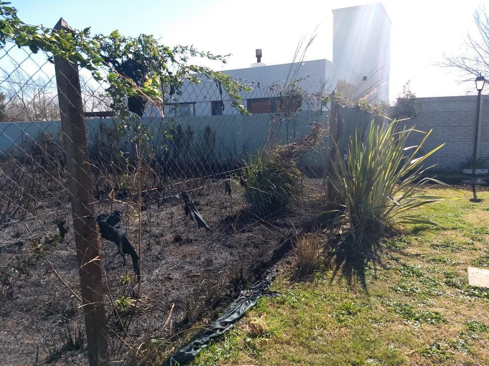 Irresponsable: tiró cenizas al terreno lindero y prendió fuego todo  